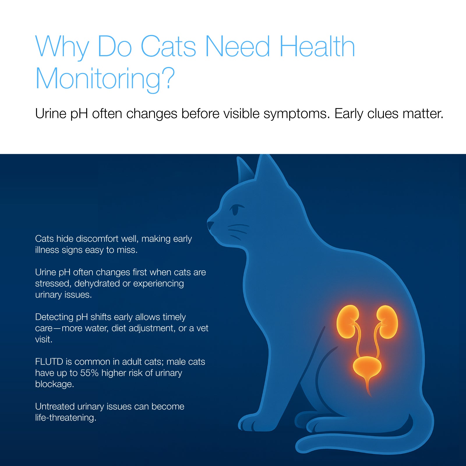 Purrify Smart Health-Monitoring Cat Litter Color-Changing · Fast Clumping · Odor Control · Low Dust