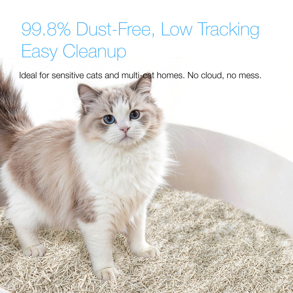 Purrify Smart Health-Monitoring Cat Litter Color-Changing · Fast Clumping · Odor Control · Low Dust