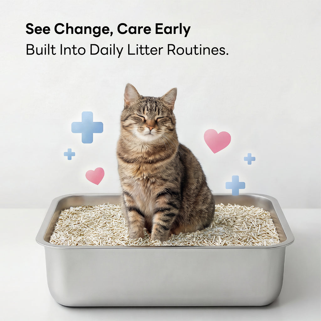 Purrify Smart Health-Monitoring Cat Litter Color-Changing · Fast Clumping · Odor Control · Low Dust