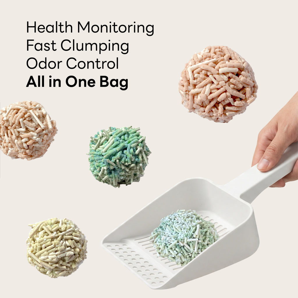 Purrify Smart Health-Monitoring Cat Litter Color-Changing · Fast Clumping · Odor Control · Low Dust