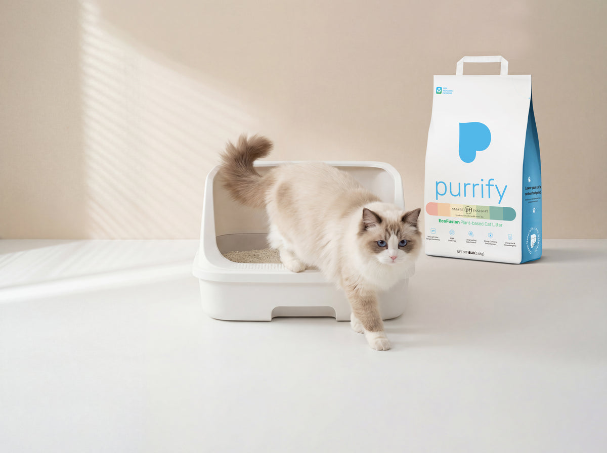 Purrify Health-Monitoring Cat Litter | Official Store – Purrify ...