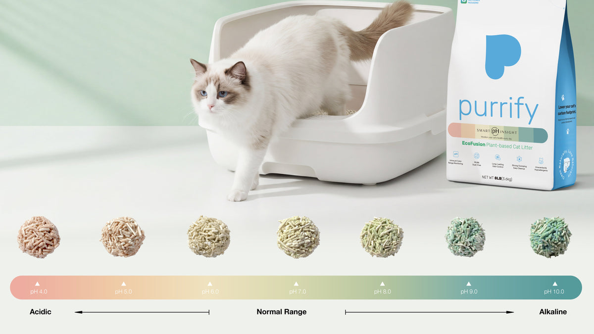 Purrify Health-Monitoring Cat Litter | Official Store – Purrify ...