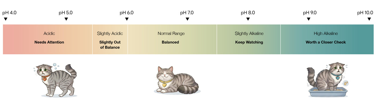 Coloue Zone HEALTH MONITORING TECHNOLOGY – Purrify Official Store