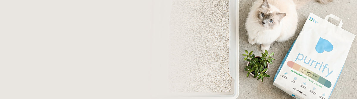 Purrify Purrify Health-Monitoring Cat Litter | Official Store – Purrify ...